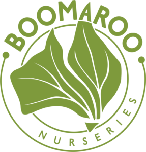 Boomaroo Nursery